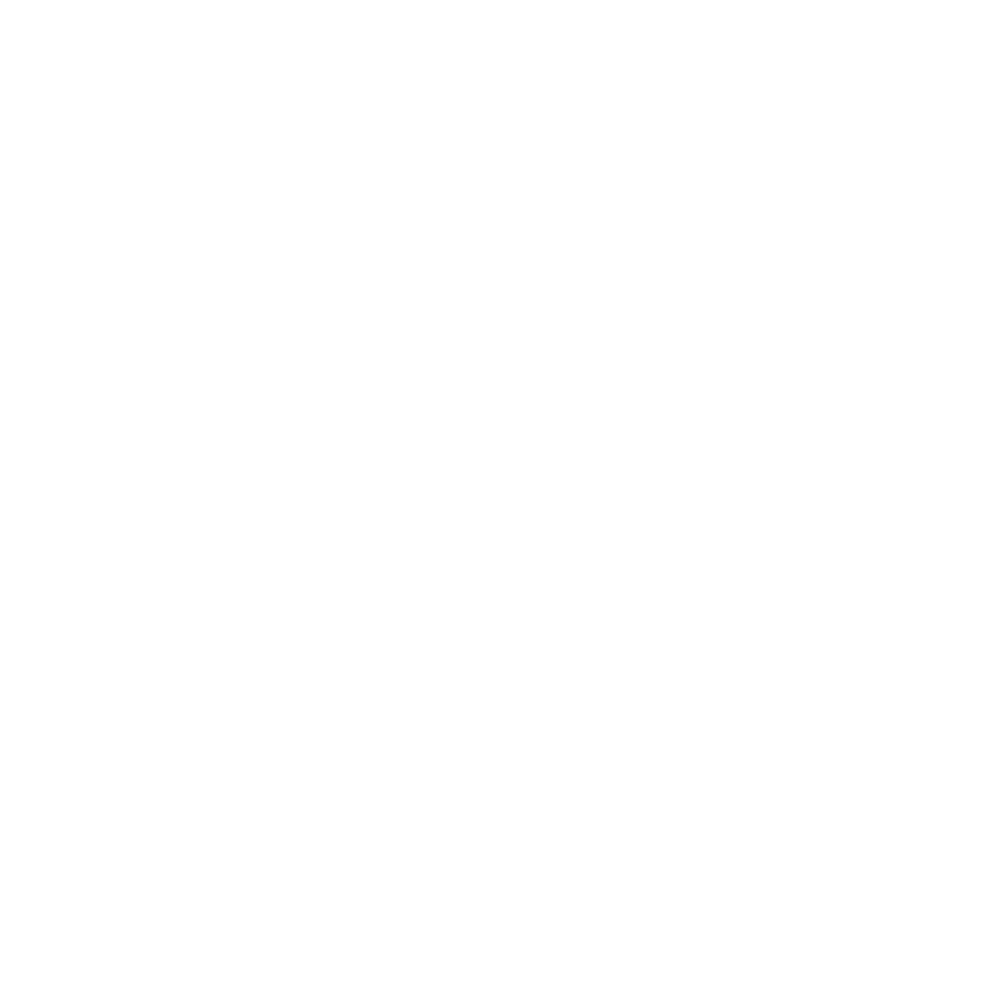 Paint Protection Film Icon