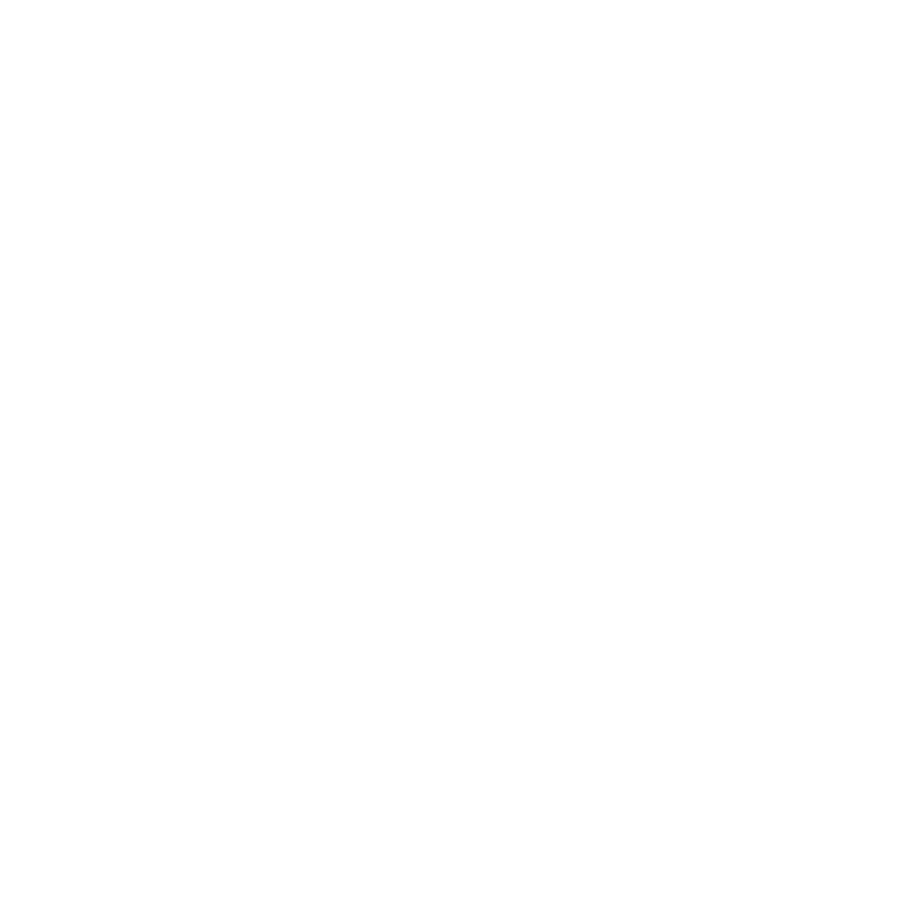 Window Tint Icon